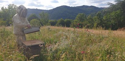 À Brasc, chasse et apiculture font bon ménage