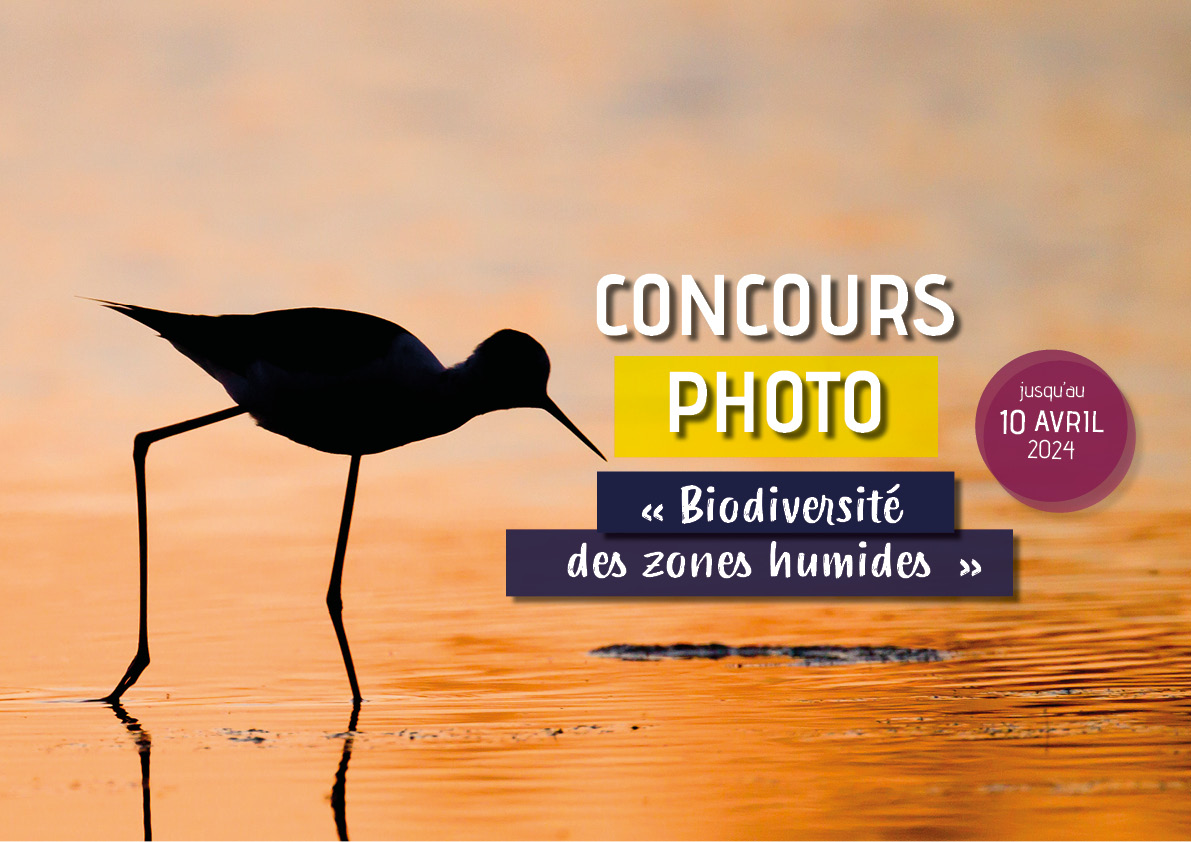 concours photo biodiversite des zones humides